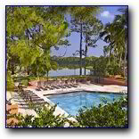 Boca Raton Apartment FAU Rental BR304